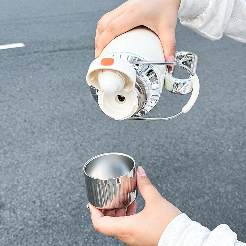 1개 스테인리스 스틸 보온보냉 물병, 1000ML 대용 - Portable Bottle Warmer 리뷰 및 가격